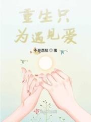 重生只为遇见爱情的
