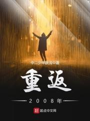 重返2008年评论