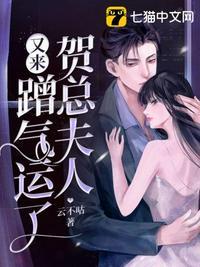 贺老总夫人