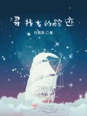 寻找什么龙