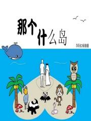 哪个岛好玩