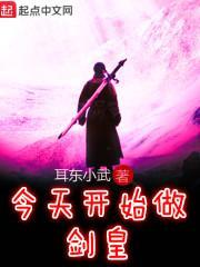 今天开始做叶王