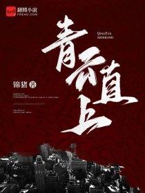 一品高手第2季