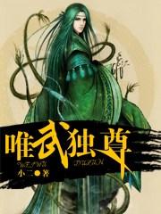 唯武独尊老狐全本