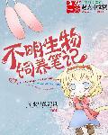 不明生物刷新时间一览