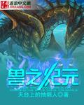 宠兽纪元