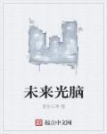 未来光脑手册
