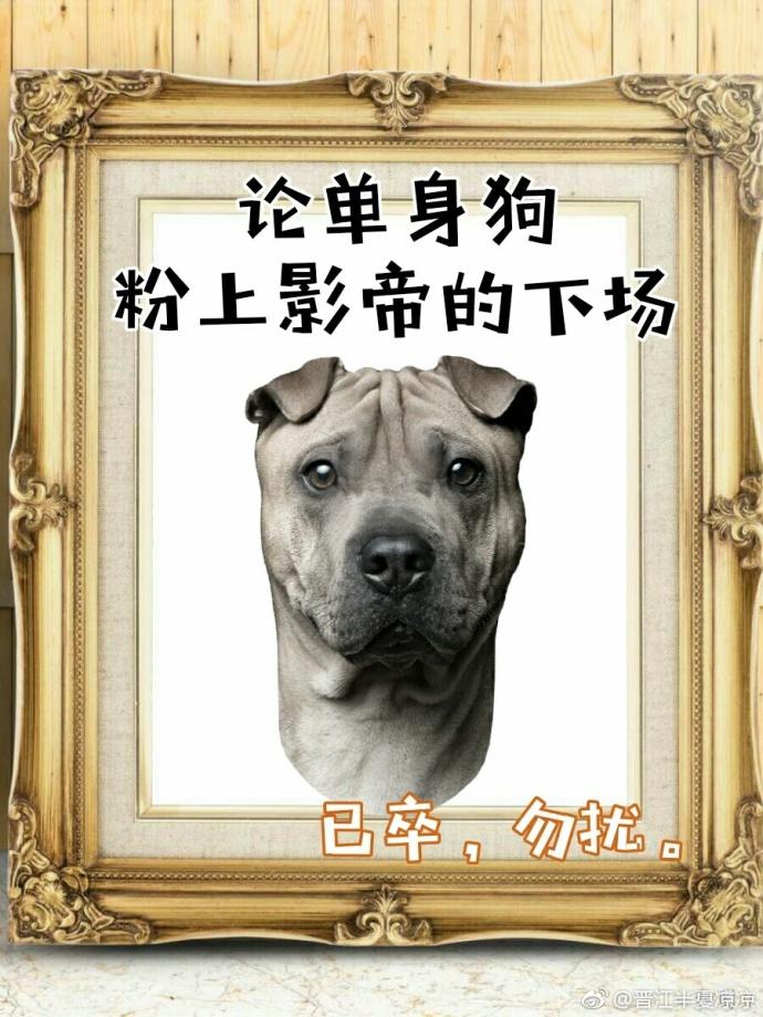影帝酷爱撒糖无错章