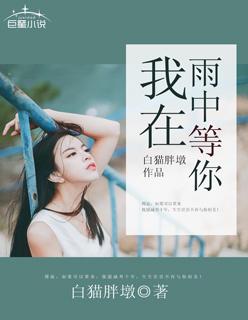 我在雨中等你视频