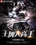 王牌大高手txt