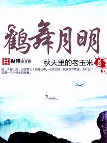 鹤舞云间什么意思