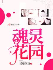 灵魂 火花