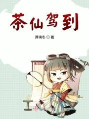 茶仙在哪里直播