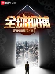全球抓捕开局基德面板