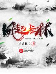 风起长林作品集