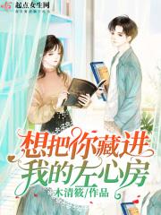 想把你藏在心里歌词