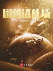 困兽一共有几季